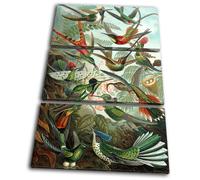 Birds Floral Tropical Vintage Animals TREBLE TELA parete arte foto stampa