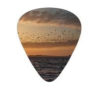 Birds Fly South Prints, plettri per chitarra, set da 12 pezzi con 3 diversi spessori, adatti per chitarre elettriche e acustiche