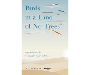 Birds in a Land of no Trees: (Notebook B - Players and Plots)