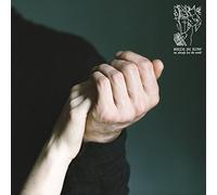 Birds In Row - We Already Lost The World