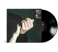 Birds In Row - We Already Lost The World