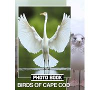 Birds of Cape Cod Photo Book: Explore 40 Stunning Images Of Coastal Birds To Showcase Nature's Beauty