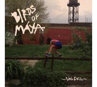 Birds of Maya Valdez (Vinyl LP) 12" Album