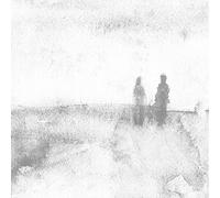 Dear And Unfamiliar - Birds of Passage + Leonardo Rosado (Vinile)
