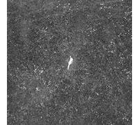 Birds Of Passage - Last Garden