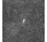 BIRDS OF PASSAGE Last Garden Clear Dl Card I (Vinyl LP)