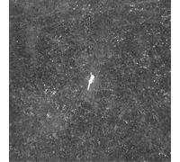 Birds of Passage The Last Garden (Vinyl LP) 12" Album