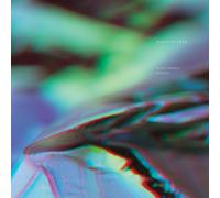 Birds of Prey Vanishing Point (Vinyl LP) 12" Album