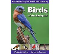 Birds of the Backyard