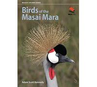 Birds of the Masai Mara
