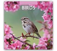 Birds - Vögel 2025 - 16-Monatskalender: Original Red Robin Publishing Ltd-Kalender [Mehrsprachig] [Kalender]