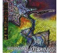 Birdsongs Of The Mes - Petrophonics