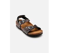 Birkenstock - Kid's Rio AS Birko-Flor Cosmic Sparkle - Sandali EU 31 - Narrow marrone