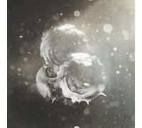 Birkin, Richard J. - Vigils