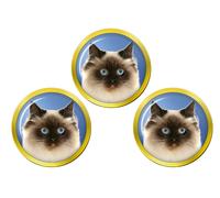 Birmania Gatto Palla da Golf Marcatori
