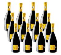 Birra Artigianale Collesi - Bionda - 0.5 L (Confezione da 12 Bottiglie)