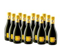 Birra Artigianale Collesi - Birra Artigianale Bionda Dorata e Aromatica, 6% VOL - Bottiglie da 330 ml - Confezione da 12 bottiglie