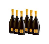 Birra Artigianale Collesi - Chiara - 0,75 L (Confezione da 6 Bottiglie)