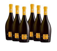 Birra Artigianale Collesi - Birra Artigianale Bionda Dorata e Aromatica, 6% VOL - Bottiglie da 750 ml - Confezione da 6 bottiglie
