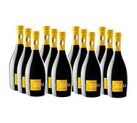 Birra Artigianale Collesi - Birra Artigianale Bionda Oro Fruttata, 6% VOL - Bottiglie da 500 ml - Confezione da 12 bottiglie