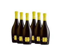 Birra Artigianale Collesi - Birra Artigianale Chiara Equilibrata e Agrumata, 6% VOL - Bottiglie da 750 ml - Confezione da 6 bottiglie