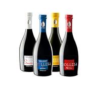 Birra Artigianale Collesi - Confezione Degustazione 4 Birre - IPA, Rossa, Bionda, Blanche - Confezione da 4 Bottiglie - 500 ml