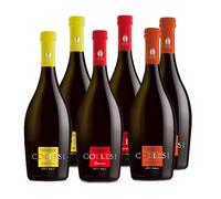 Birra Artigianale Collesi - Confezione Degustazione 6 Birre - 2 Chiara, 2 Rossa, 2 Ambrata - Confezione da 6 Bottiglie - Bottiglie da 750 ml