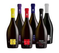 Birra Artigianale Collesi - Confezione Degustazione 6 Birre - Chiara, Triplo, IPA, Rossa, Nera, Blanche - Confezione da 6 Bottiglie - Bottiglie da 750 ml