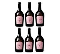 Birra Artigianale Karma "Roxy" 75 artone 6 Pezzi