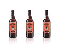 Birra Follina - Giana - Birra Artigianale Belgian Dark Strong Ale non filtrata e non pastorizzata - 75cl - Gradazione Alcolica 8.0% - Prodotta in Italia (3)