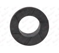 BIRTH 4141 Boccola, Albero dello sterzo