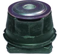 BIRTH 5702 supporto corpo assiale lato montaggio asse posteriore bilaterale altezza 71 mm