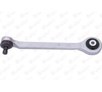 BIRTH BR1302 Braccio oscillante, sospensione ruota