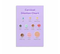 Birth Class Visual Aid Cervical Dilation Process Educational Art Print for Classroom Labor Delivery Room Wall Decor (Unframed,16x24inch(40x60cm))