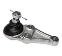 BIRTH Giunto supporto guida CX9239 anteriore bilaterale 19 mm M16X1,5