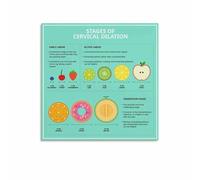 Birth Process Anatomy Poster - Stages of Cervical Dilation Chart, Educational Wall Art for Delivery Preparation, New Mom Gift Idea(Unframed,16x24inch(40x60cm))