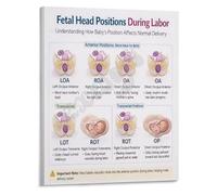 Birth Process Educational Poster Fetal Head Position Changes Chart for Labor and Delivery Unit Training Room(Framed,12x18inch(30x45cm))
