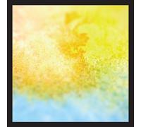 Birthmark How You Look When You're Falling Down (CD)