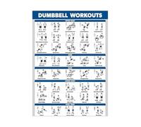 BIRXPMOS Dumbbell Workout - Laminated Exercise Chart for Full Body Training, Home Gym & Fitness Studio Wall-Art (Framed,08x12inch(20x30cm))