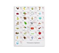 BIRXPMOS Learn Vietnamese Poster Alphabet Chart Letters and Pronunciation Guide Language Learning Educational Wall-Art for Beginners 8 X 12 in