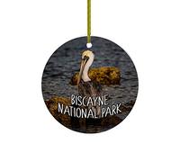 Biscayne National Park Pelicans Atlantic Ocean Miama Florida Ornamenti Natalizia Pendente Con Nastro Dorato Decorazioni Appendere Per Esterni Domestico Commerciale 7.3Cm