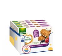 Biscotti ai Cereali Yogurt e Frutti Rossi 220g Snack Dolce Integrale Colazione Monoporzione Variazioni 4/8/12 Confezioni (8 PEZZI)