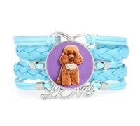 Biscotti Dell'Amicizia Infinito, Amore Per I Cani Barboncino, Braccialetto