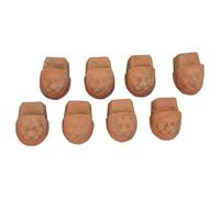 Biscottini Set 8 Piedini sottovaso Zampa di Leone - per Vaso per Piante da Interno e vasi per Piante da Esterno - sotto Vaso Adatto a vasi Quadrati Rotondi e rettangolari