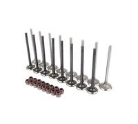 Bisenya 8x Valvola di Ingresso + 8x Valvola di Uscita Compatibile con 1.2 1.4 1.6 FSI 12V 16V BWK CAVA CAVD ARC AVY ATN 036109611K 036109601S