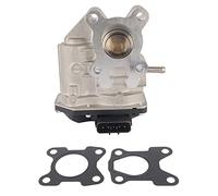 Bisenya Valvola di ricircolo dei gas di scarico EGR, compatibile con Nissan Pathfinder Frontier Navara/telaio 2.5 dCi 14710-5X00D 717730147
