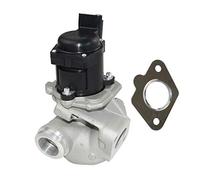 Bisenya Valvola EGR con guarnizione 161859 1618NR Compatibile con 1.6 HDI C2 C3 C4 C5 Berlingo 206 207 307 308 407 1007 1618.59 1618.NR 9649358780 9660276280 9685640480 9672880080