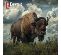Bison Calendar 2026: Mighty Beasts Roaming the Plains of the Past and Present