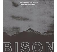 Bison - You Are Not The Ocean You Are The Patient