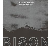 Bison - You Are Not The Ocean You'Re The Patient